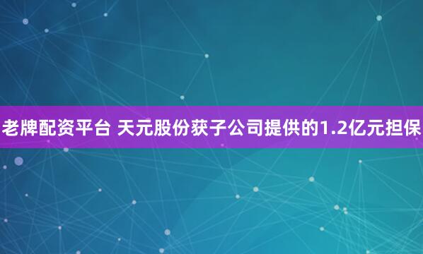 老牌配资平台 天元股份获子公司提供的1.2亿元担保